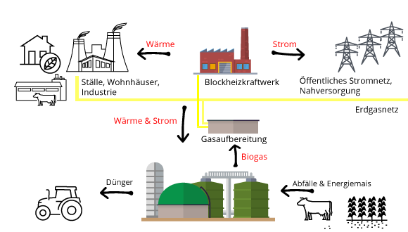 So funktioniert die Biogasanlage Müden, schauen Sie wie sich sich per Crowdinvesting gewinnbringend beteiligen können Schaubild Biogasanlage